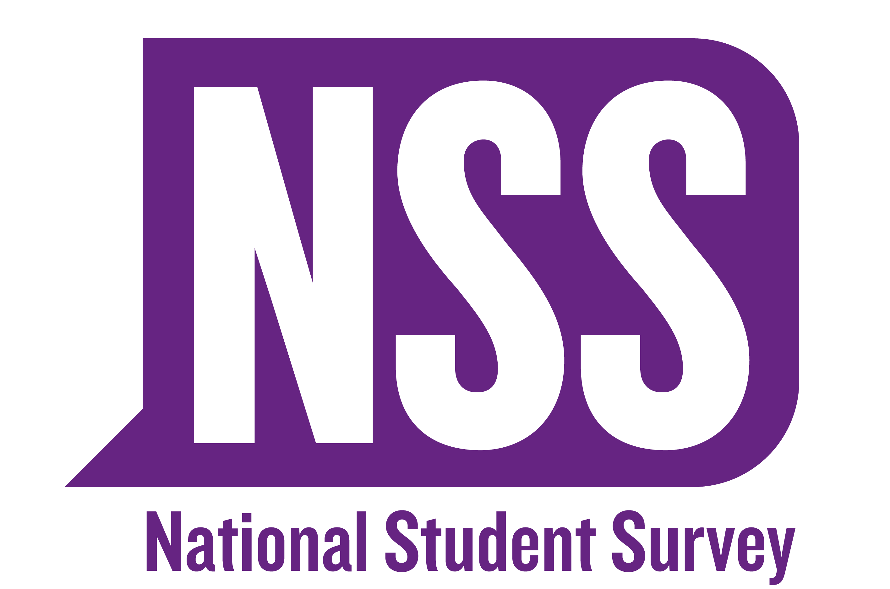 nss-2017-logo_english