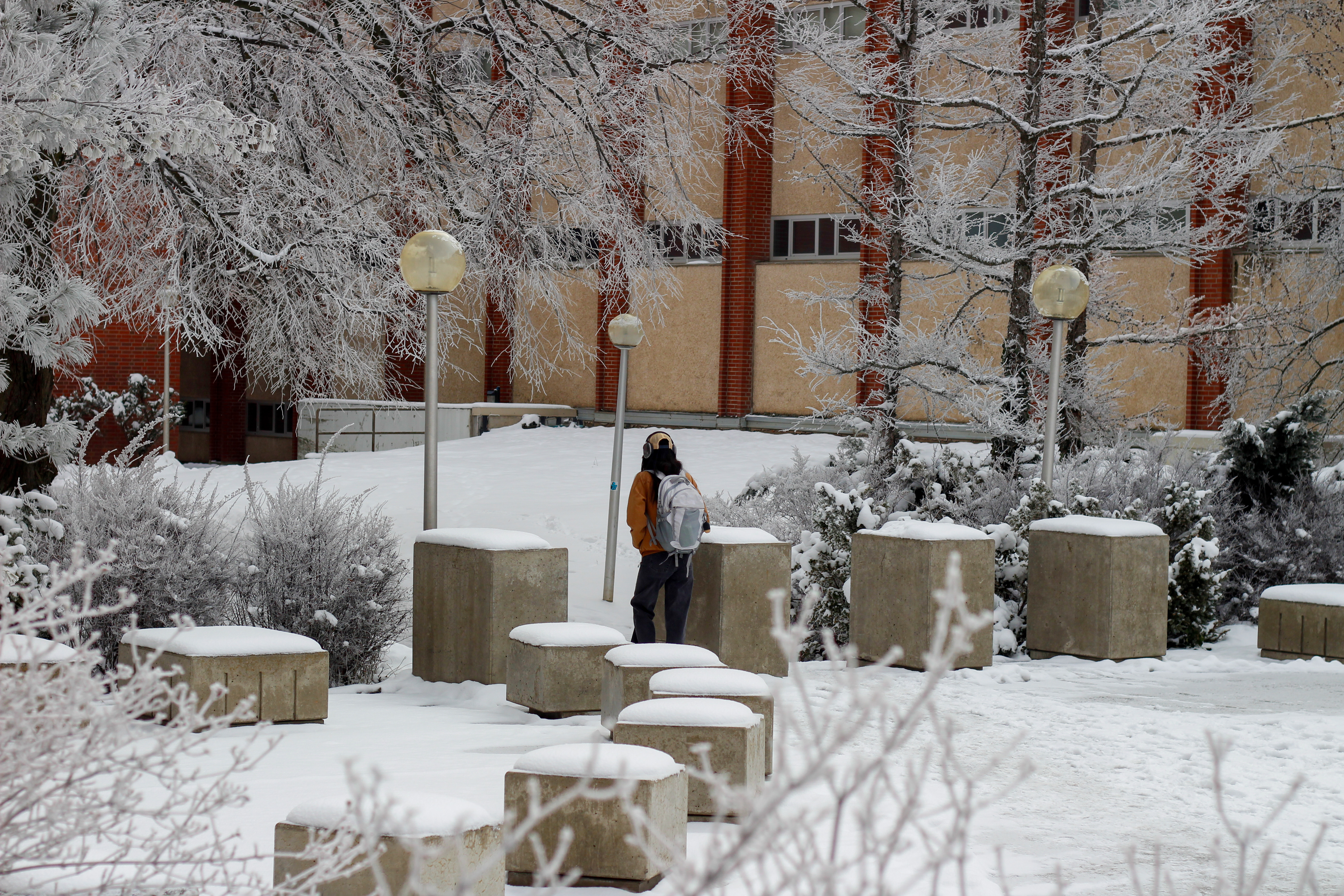 Photography: A Winter Walk